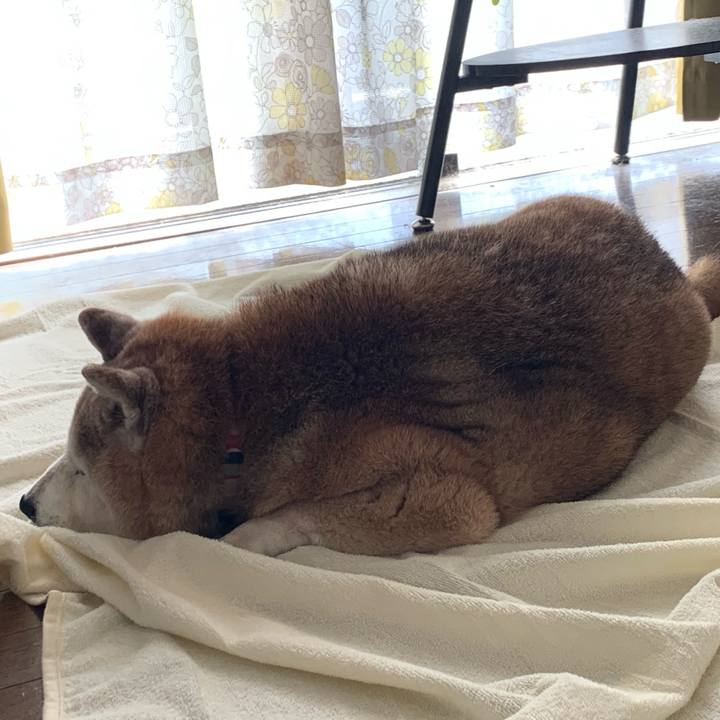 0c08ec21 6212 40f2 a962 2ad59c84338d 1682745434600