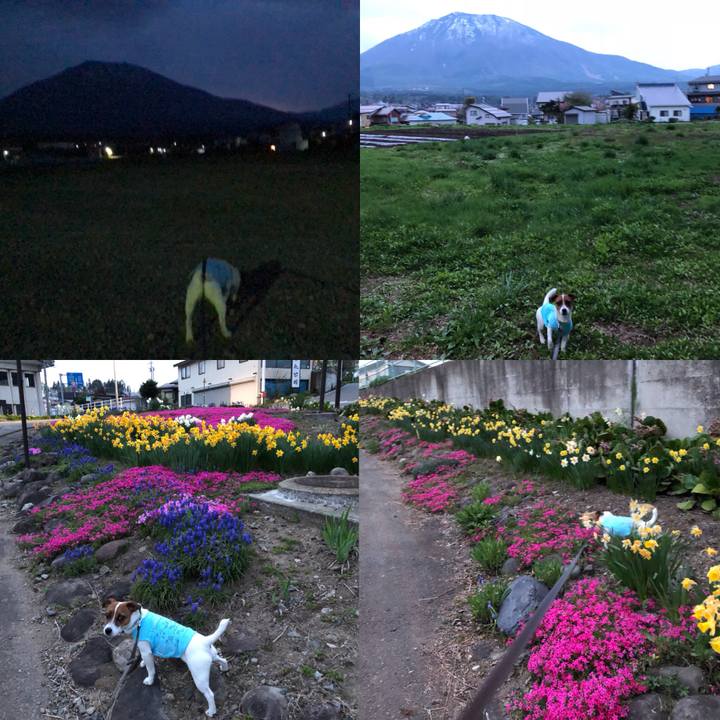 0c093fde 362a 4207 8edc 062771452864 1525099296873