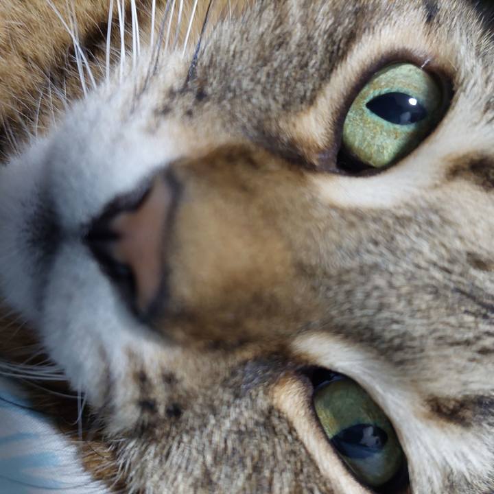 0c099ee1 4dda 4ed4 a240 68678bc30035 1642246982620