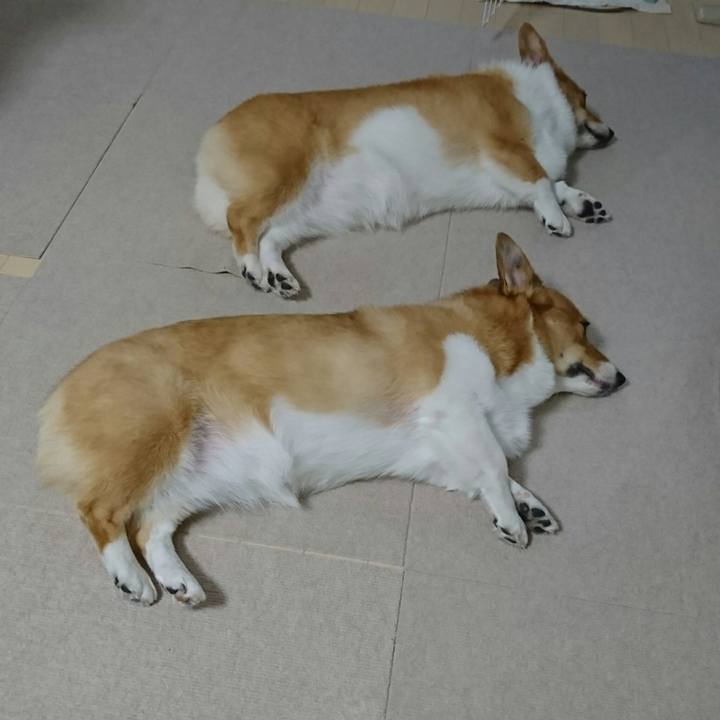 0c09f1a6 a5ff 4a37 a4cc 506368081489 1537839347036