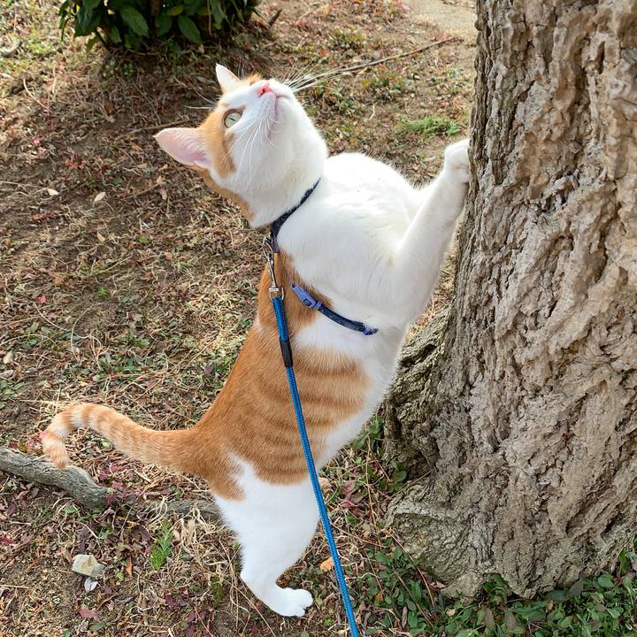 0c09f88f bbc5 4e4b 9982 142edab33150 1580106673552