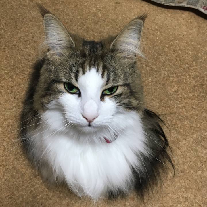 0c0a1010 bef4 44a7 a1e6 5b931aff0349 1507815389377