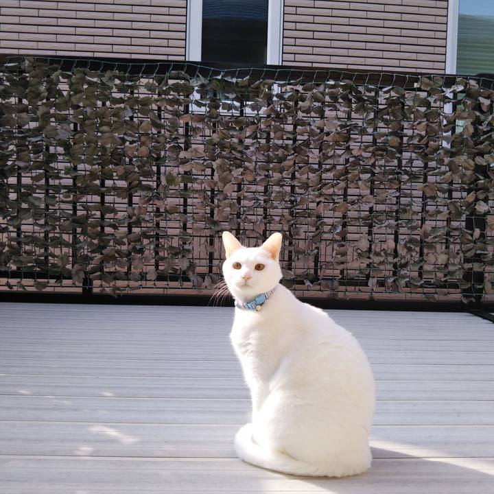 0c0a8587 e477 4eb0 a74b 0385267fd772 1615335430635