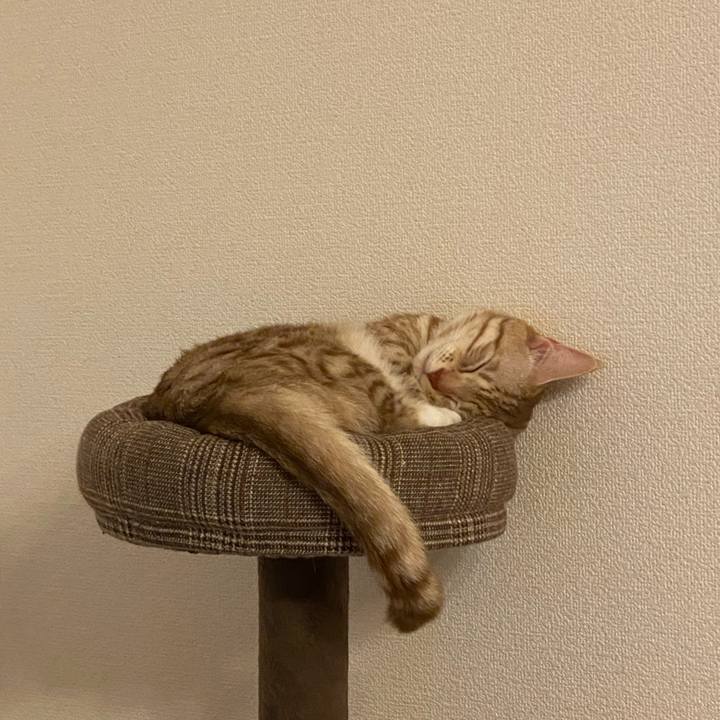 0c0ab54a 6eaf 4746 8ab5 554492dd2e04 1637669561074