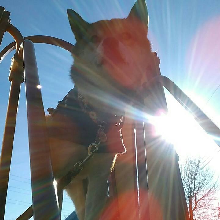 0c0abf69 66a0 42e8 ba43 6ab290fba0a6 1547167628458