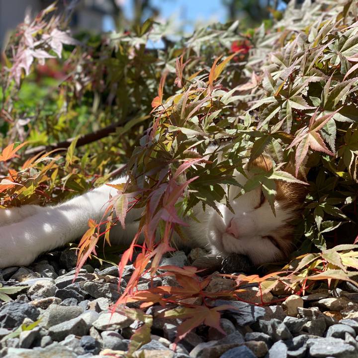 0c0ac46d d216 4e9a 97ac ea5e3e9fdace 1622253159237