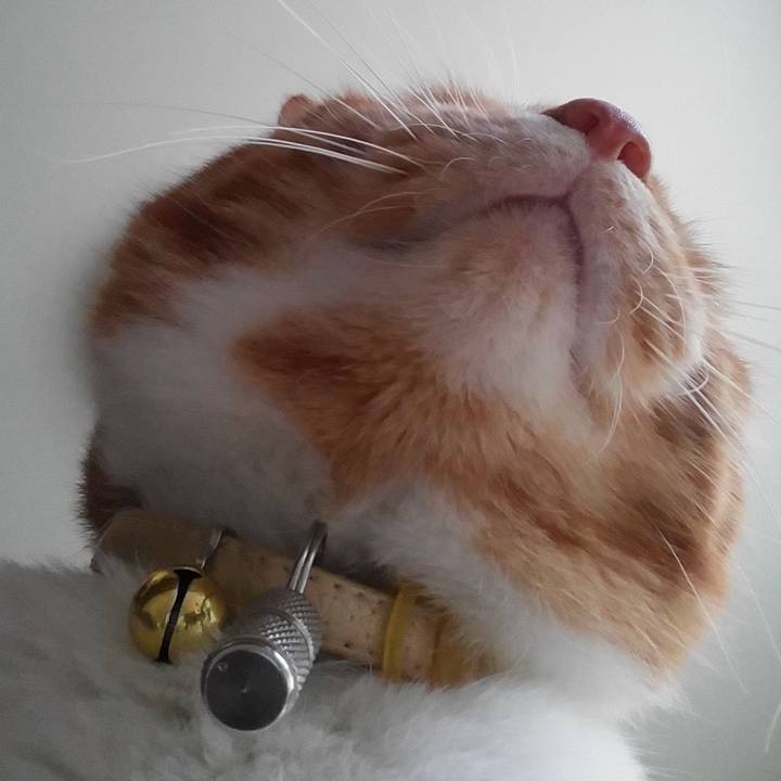 0c0af264 2479 4ab1 bb36 c2aa106cb4b6 1585405692489