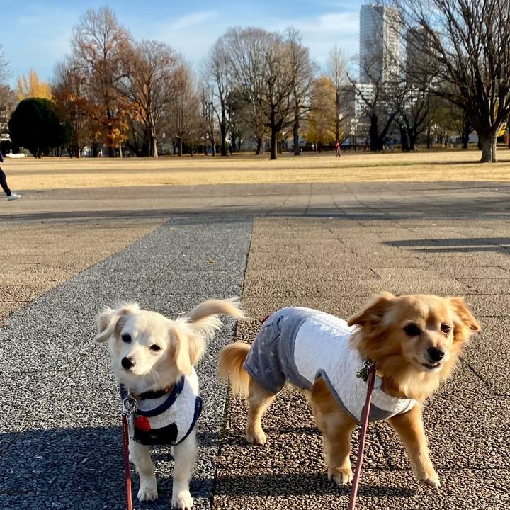 0c0b1775 409e 4c92 9754 c5bd210e4b71 1639618960665