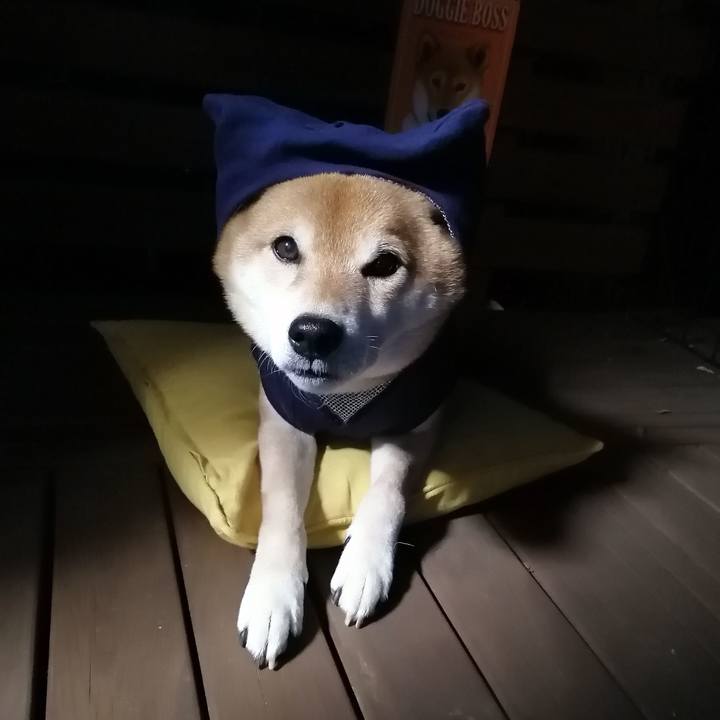 0c0b3a2e 4dd9 4462 b352 e2be014c00da 1644915893947