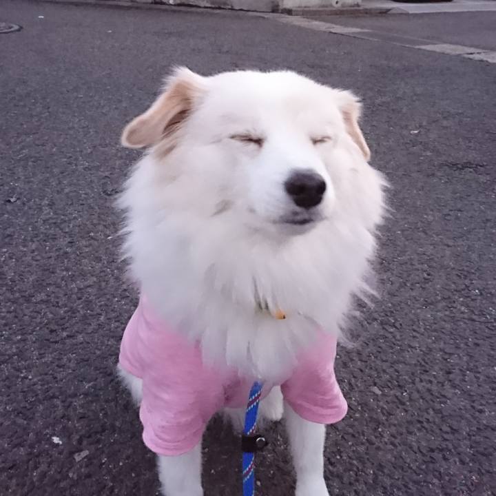 0c0b8ce0 9151 4202 86f6 981dc2d901c7 1514238511478