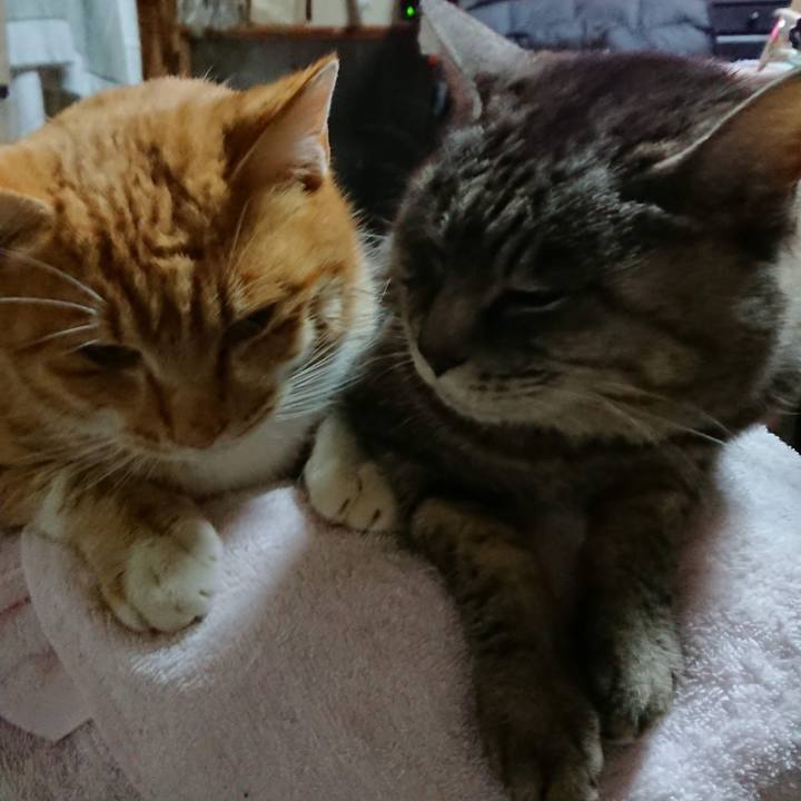 0c0ba172 eade 4c38 9ef3 907ae1ed510c 1607975611806