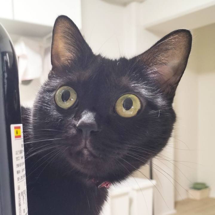 0c0be5cc 1e55 42e4 bd4f 1b385003e9d2 1697279061510