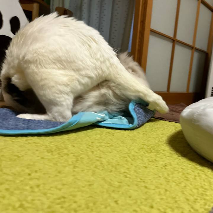 0c0c240c 1174 4f54 887f 7c7f3a6ce6ef 1706430219065