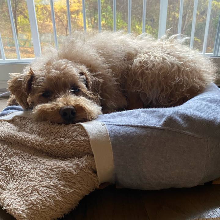 0c0c242f bd3f 42a3 a17e c57c9740e1ca 1636412954672