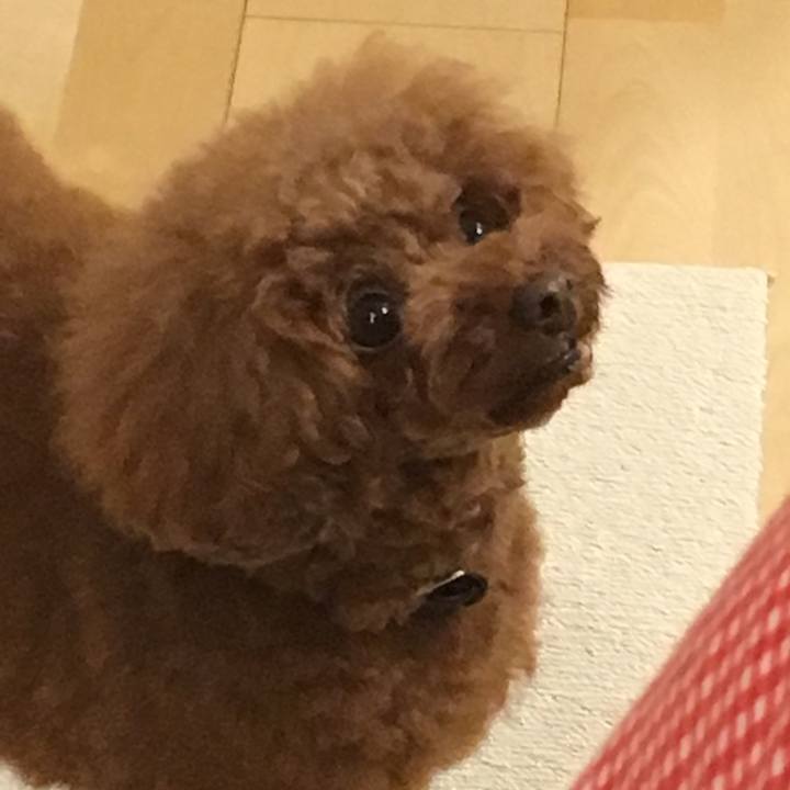 0c0c8f66 1177 4085 bfc3 2cfb366241c2 1530534394451