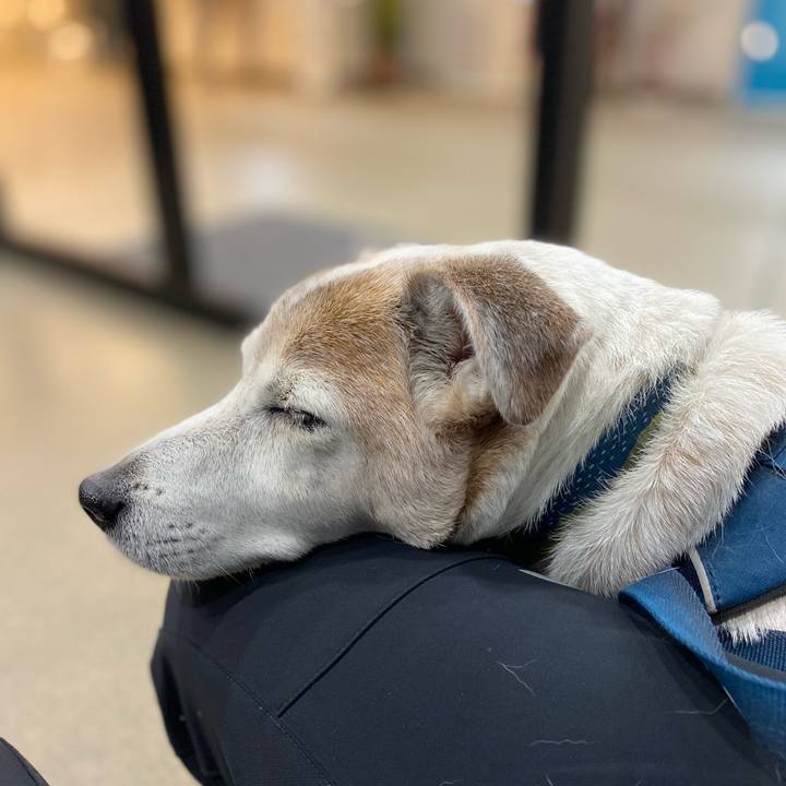 0c0c917b 670e 4609 a9f7 b8ceabe5f8bf 1676628796389