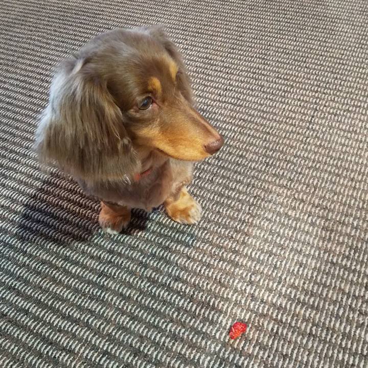 0c0c9326 c706 4eea b624 fb021056539e 1585269219232