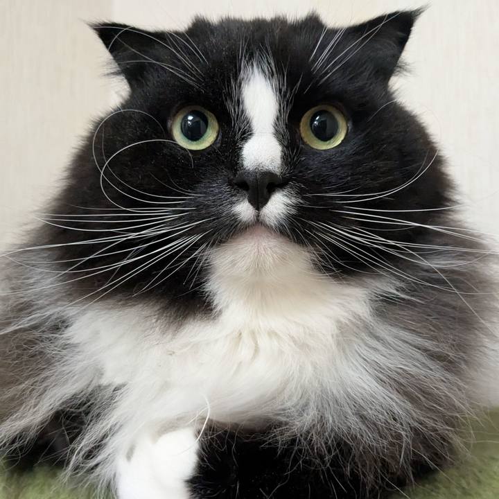 0c0cb6cc 1bf0 4301 af7b 4ef4550f9724 1741002814327