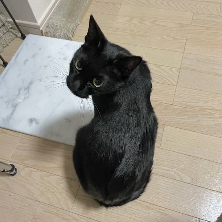 0c0cc35e fe7c 4069 9ca6 2866316fe2ba 1694866001073