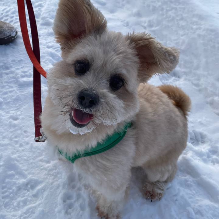 0c0cc99e 384d 4023 8c8a 1513a36e6642 1675565734649