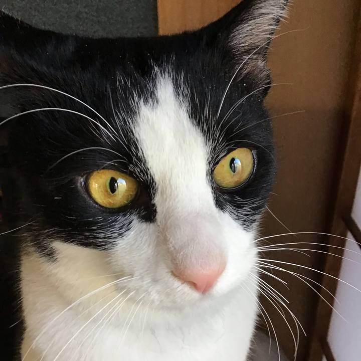 0c0cfd7c 6035 4e49 8ead 5baa0af3d42c 1644139197608