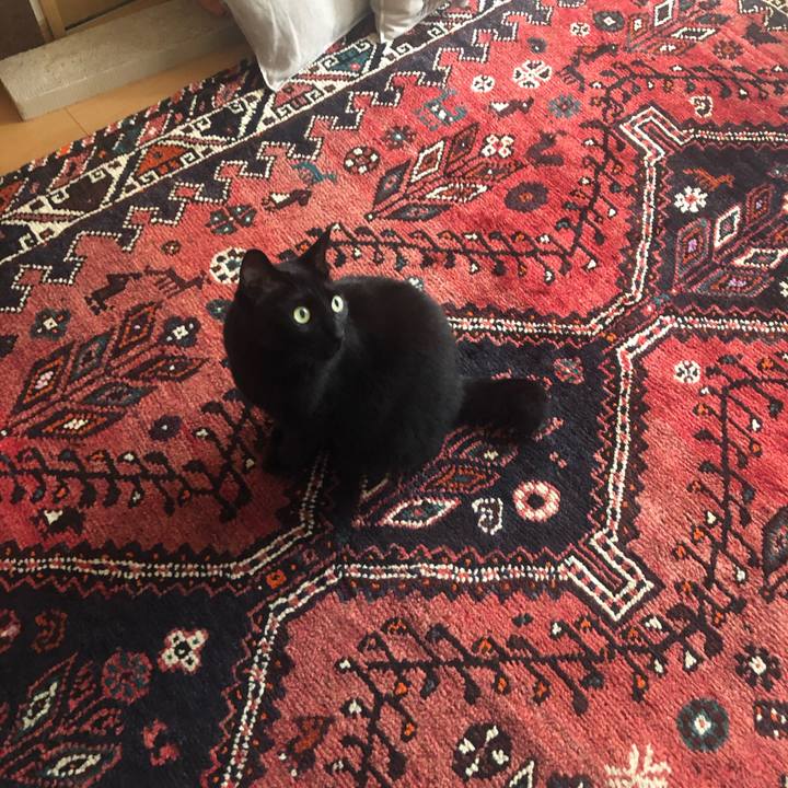 0c0d4329 3b4f 471b 91e9 83fd1130a6bd 1560562928255