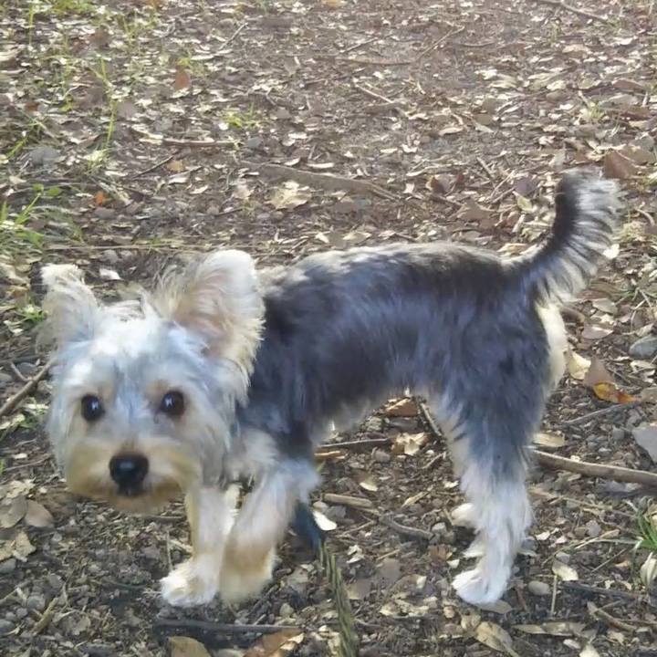 0c0d6ed3 410b 4150 9091 5f0237df6d2e 1540126983383