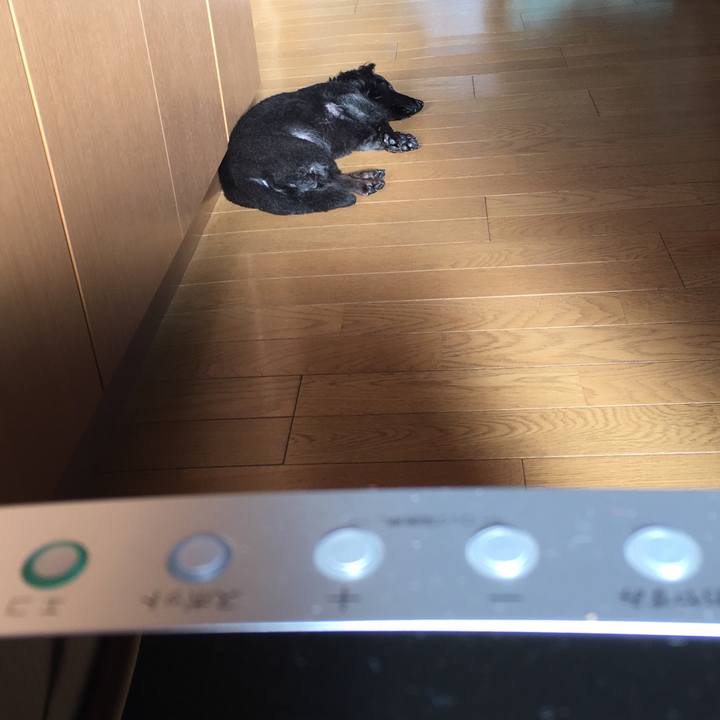 0c0db12e 3287 4e46 97e7 68cb0c552b5e 1513292030482