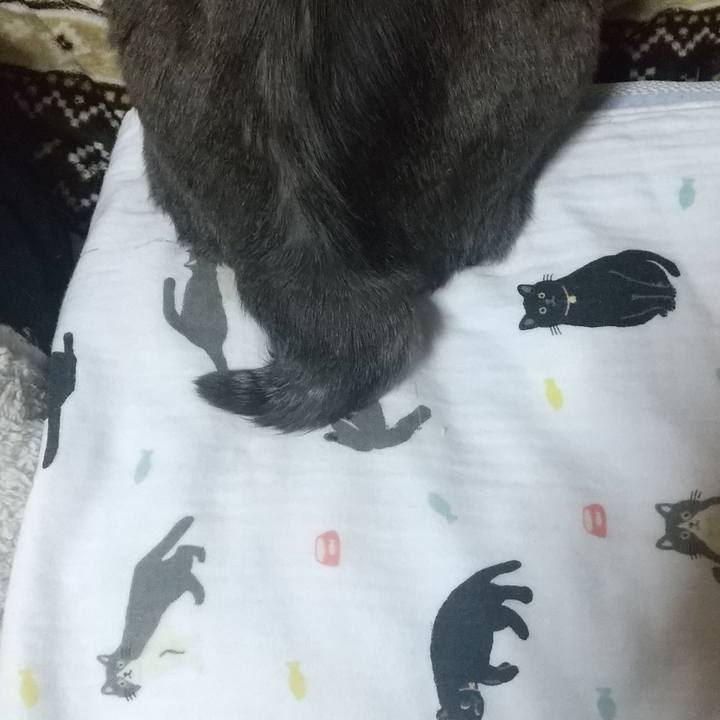 0c0dc8b3 b81a 4587 b2ed f2ef370fbac4 1612792655107