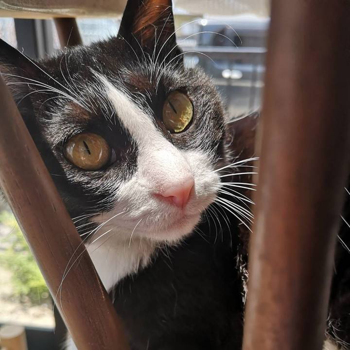 0c0dd543 d1f0 4ebb a5de 91250c3a0a97 1624435541451