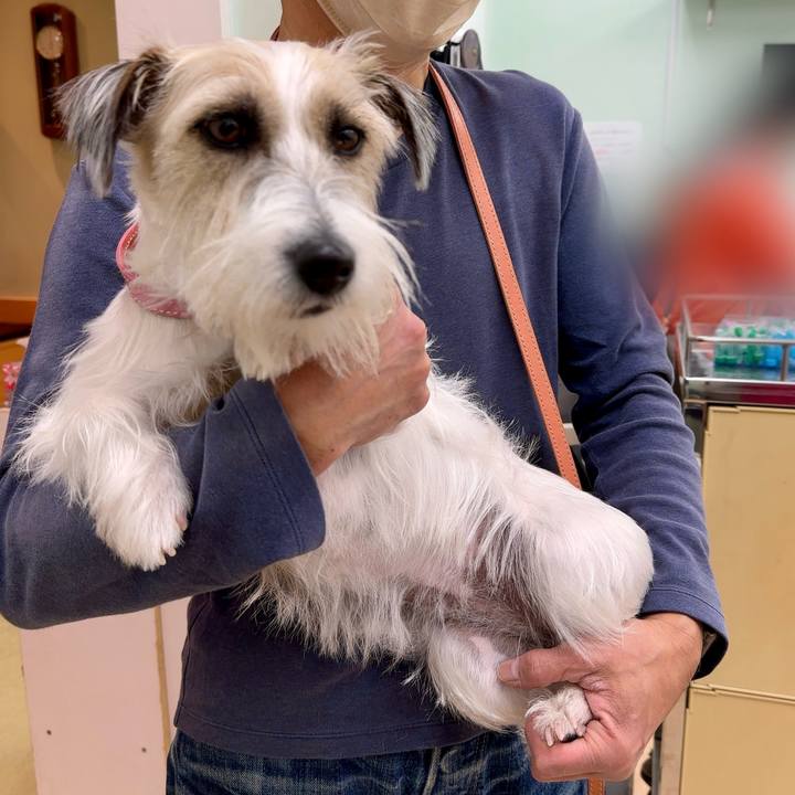 0c0e0498 f9df 408e b4f6 61a2d7fa1985 1703774927127