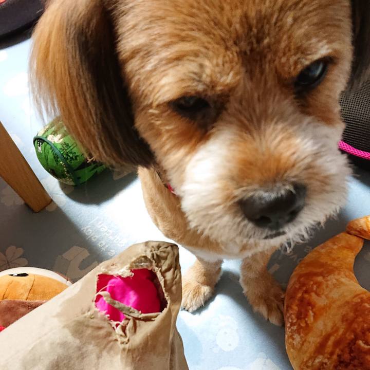 0c0e1e38 c9fc 45cb 9f5a e4e3bf2f1634 1566475176773