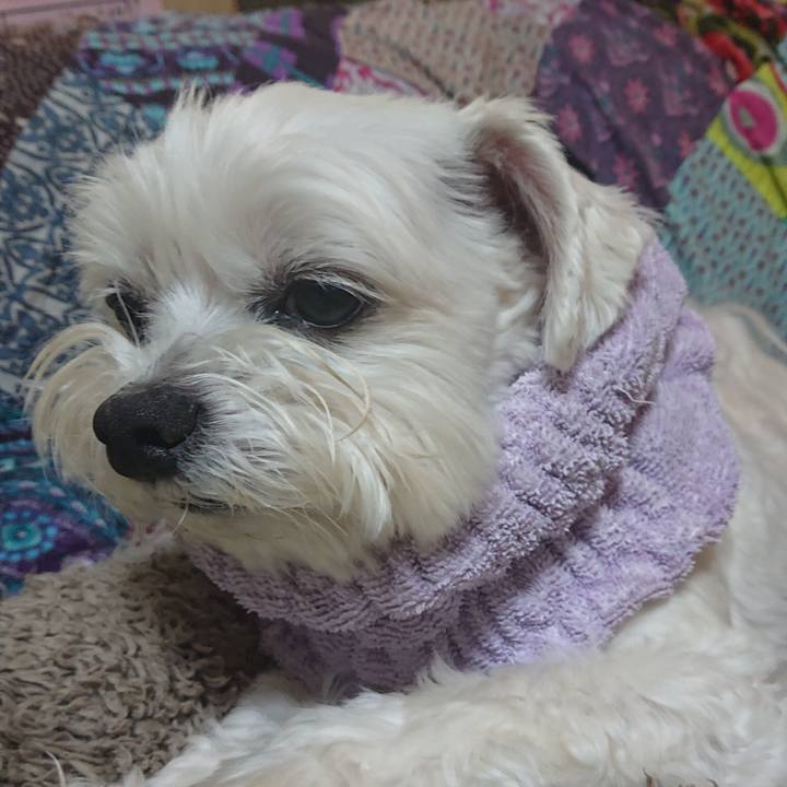 0c0e21eb f669 4f01 b483 93ff3e046445 1613908196834