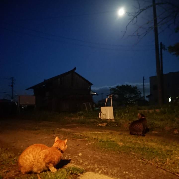 0c0e443b adbc 49a9 9ab1 479ce495aa4a 1652524772354