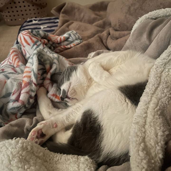 0c0e75dc 7c4f 43bb a4d5 2e5ee5f21926 1707350672337