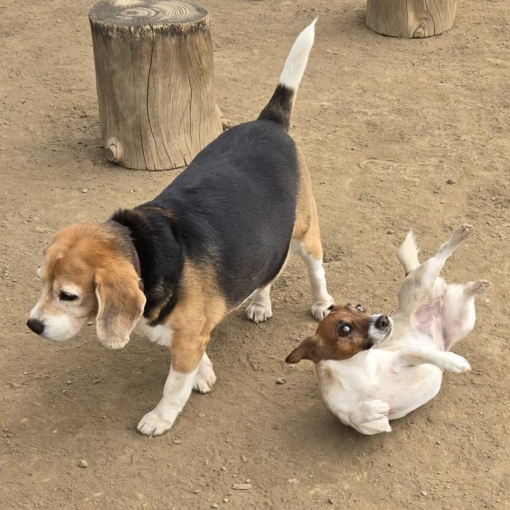 0c0e87c7 debd 43cb 875b 96ab813206e3 1771751186070