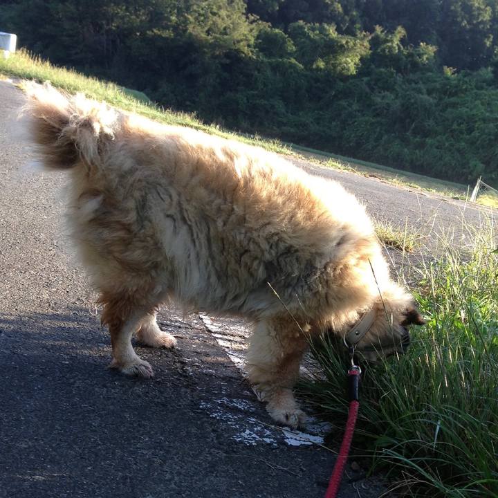 0c0e9098 dd2c 4599 8f41 d37538ad452a 1612057917976