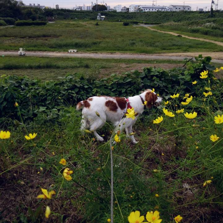 0c0e9d04 a757 4edd a549 91d87dd48546 1538556128295