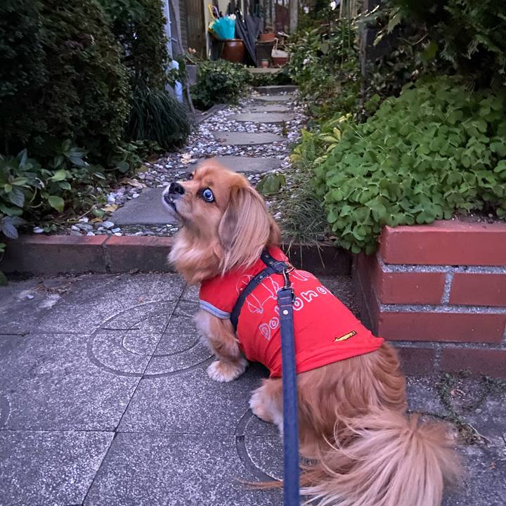 0c0ea8b7 7404 452a 8558 c3a9eb284802 1578262832691