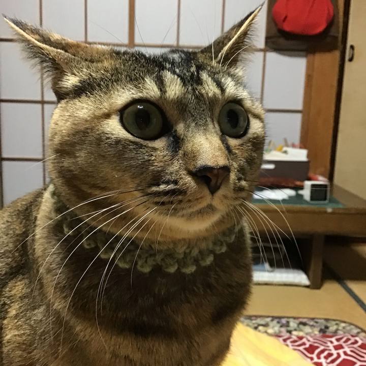 0c0ee689 a2a1 4a0f a31c 4453e024ed07 1639690685698