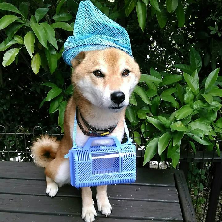 0c0ee9c8 c7be 4ab5 9841 f73aeb1a9edd 1566889203574