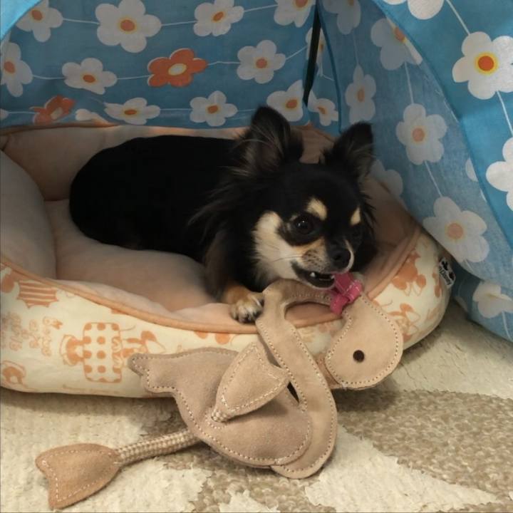 0c0f16d5 1d28 40c0 9db0 646834ebada8 1589415066023