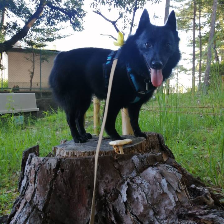 0c0f1d27 84bf 49f7 942d e217ed0c36de 1662244389235