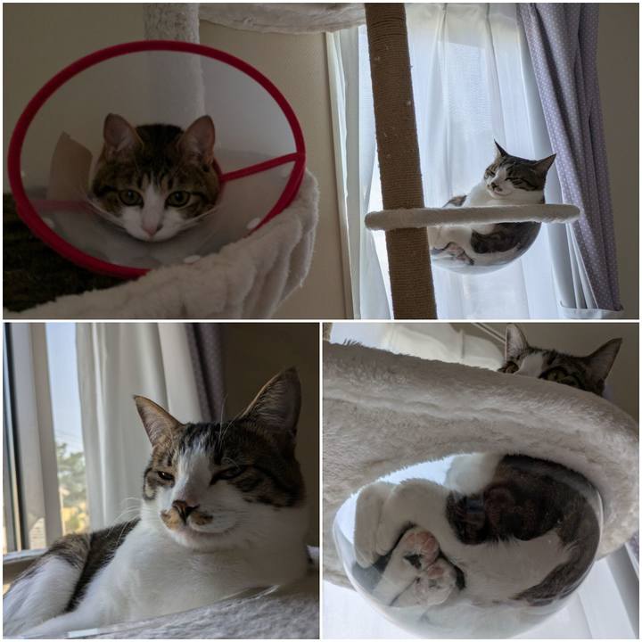 0c0f2cc2 7828 4e52 b53d 2f02f342f765 1746071444314