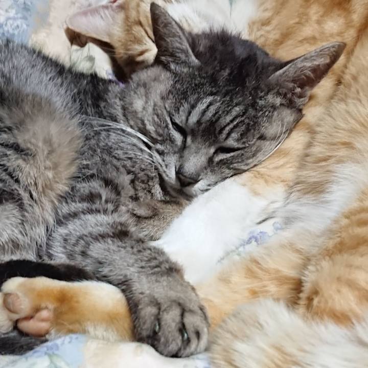 0c0f360f f390 4bfe a5ee a4b4607e62a7 1583757852269