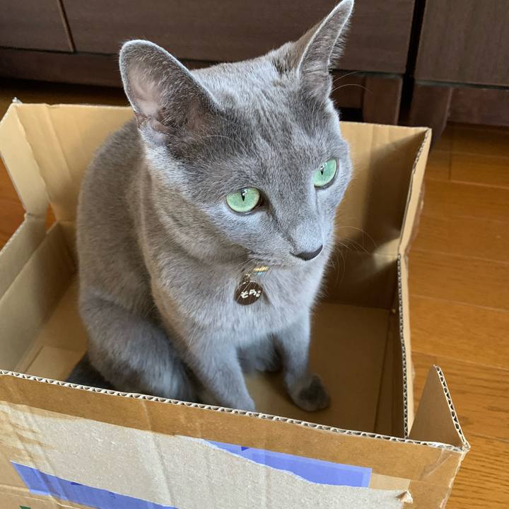 0c0f3aef 53af 4ae4 85eb 12a7931e3fa6 1606538743818