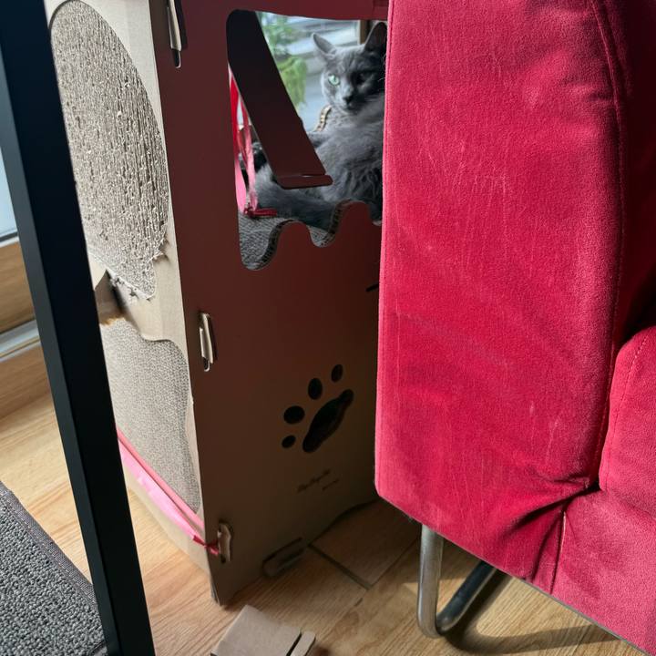 0c0f42f3 0898 435f aec6 c609e87b7247 1755329689908