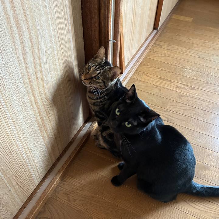 0c0f5076 b855 4c2a 9f3d 53d97e9a74cf 1758924669870