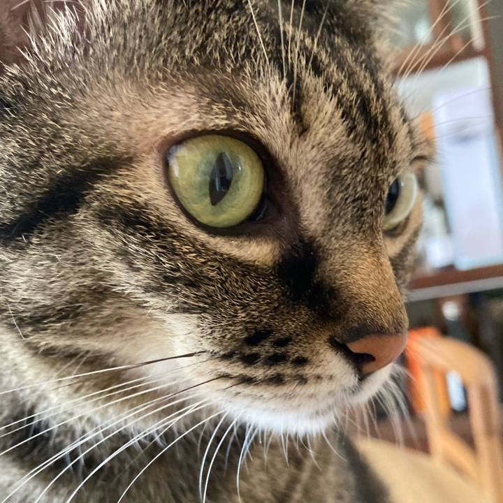 0c0f50b6 52cc 452a af72 1baef362cbd2 1757115828412