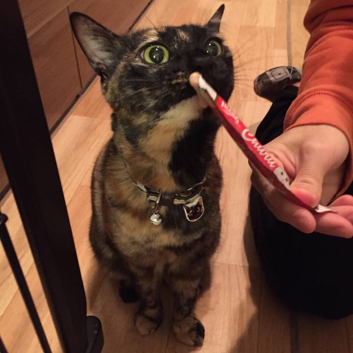 0c0fa08c 7006 41c7 9689 7c4d30d1b3c6 1519223247040